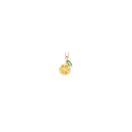 Orange fruit (Micro Charm)