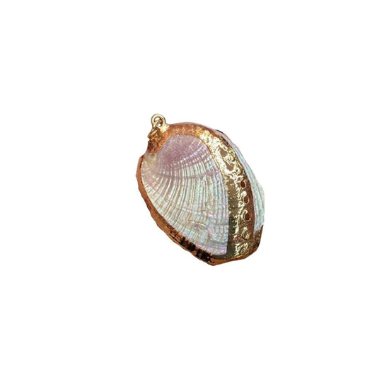 Real shell Charm