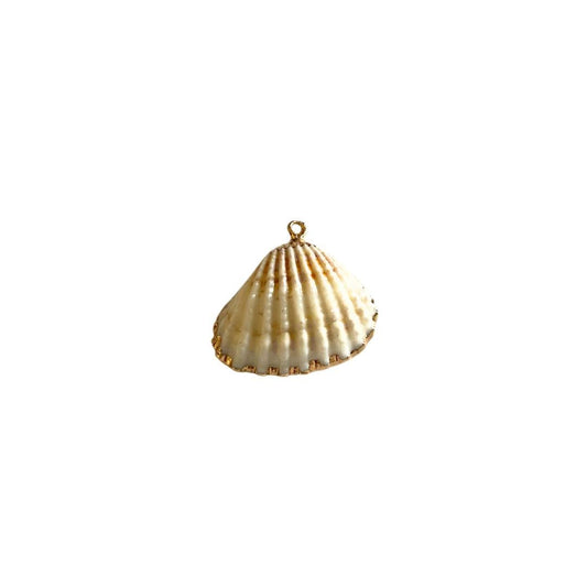 Real shell Charm