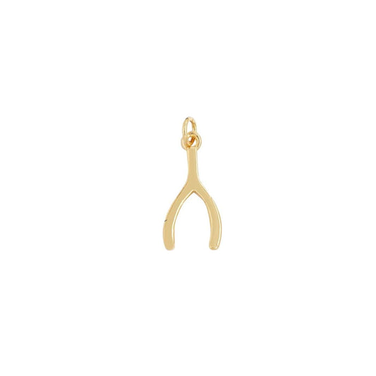 Wishbone charm